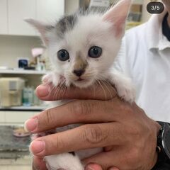 生後１ヵ月男の子です