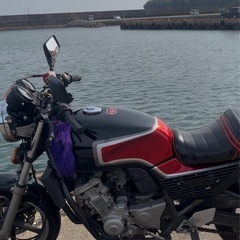 JADE250