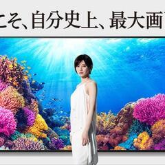 65型 有機ELテレビ SONY Android TV 33


