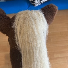 木馬グロリアの画像