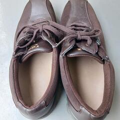■USED■ウォーキングジュース■23cm■の画像