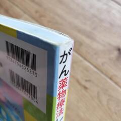 がん化学療法レジメンの画像