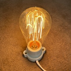 エジソンランプ　Edison Bulbの画像
