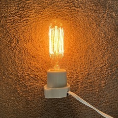 エジソンランプ　Edison Bulbの画像