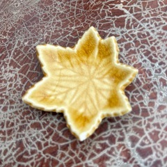小皿5種の画像