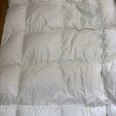 ニトリ　羽毛掛け布団の画像