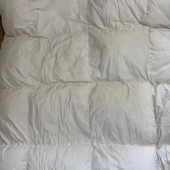 ニトリ　羽毛掛け布団の画像