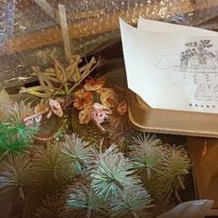 分かる方いますか？結納品？松？インテリア