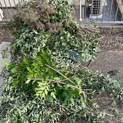 剪定木　薪　焚き火　ウッドチップ