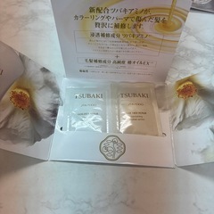 白椿シャンプーコンディショナー4つの画像