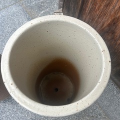 傘立ての画像
