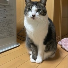 ご自宅派遣型自動車整備士のご案内