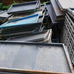 苗箱  無料  差し上げます 長野市引取りの画像