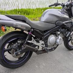 ジール250 ZEAL 実動車 ヤマハ クォーターマルチの画像