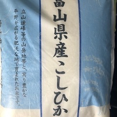 富山県産　こしひかり　5kg  お米　在庫2個