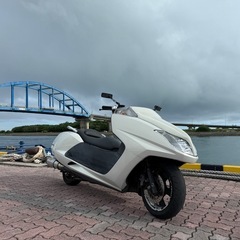 マグザム250