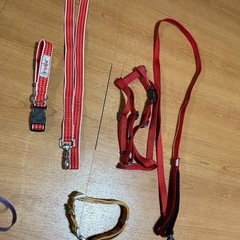 差し上げます　犬　リード　首輪　ハーネス　など　5点