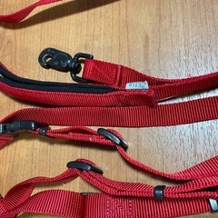 差し上げます　犬　リード　首輪　ハーネス　など　5点の画像