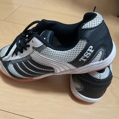 【値下げ】TSP 卓球　トレーニングシューズの画像