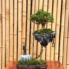 ユニークな植木鉢の画像