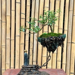 ユニークな植木鉢の画像