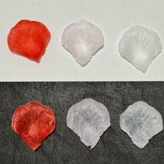 フラワーシャワーの画像