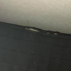 セミダブルベッドあげますの画像