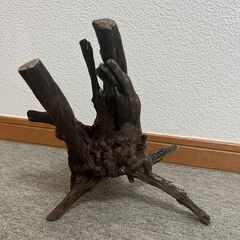 アクアリウム 流木