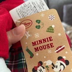 ディズニーストア ミッキー ミニー ぬいぐるみの画像