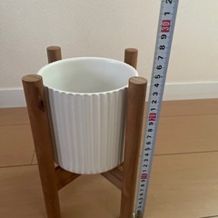 お取引決まりました！鉢植え飾りの画像