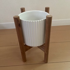 鉢植え飾り