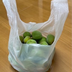 値下げしました❗️青梅(南高梅)　1kgの画像