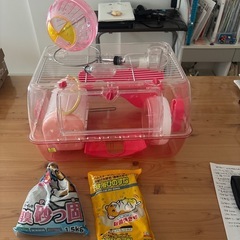 ハムスター育成セット