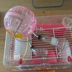 ハムスター育成セットの画像