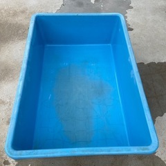らんちゅう、メダカなどに