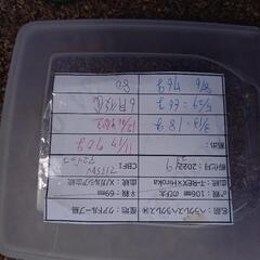 【お話中】ヘラクレスオオカブト　成虫オス80㎜の画像