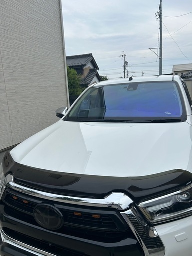 gun125ハイラックスバグガード