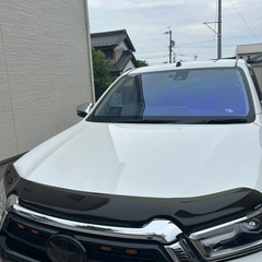 gun125ハイラックスバグガード