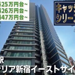 10万円キャッシュバックに変更中【コンフォリア新宿イーストサイド...