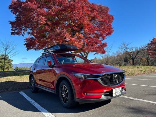 カーメイト INNO ルーフボックス