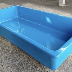 ③メダカ　水槽　金魚すくい　らんちゅう