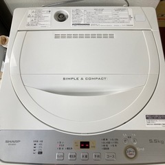 2019年製SHARP5.5kg洗濯機