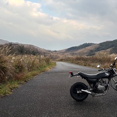 エイプ50の画像