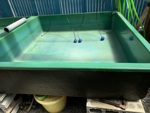 らんちゅう  メダカ　鯉　金魚などに　発泡入り