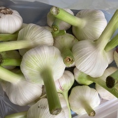 🍅🌽🌶️今年も野菜が高騰！🧅🧄🫛🥑 - 生駒市