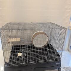 チンチラ・ウサギの小屋の画像