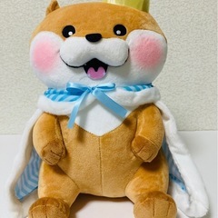 可愛い嘘のカワウソ　誕生日だぬ！BIGぬいぐるみ【6/30迄掲載】