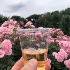 飲み友募集