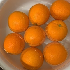 ✨お友達募集✨
