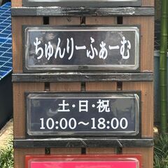 ★無人販売★ クワガタ くわがた ちゅんりーふぁーむ 6/…